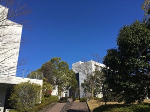 IMG_8443