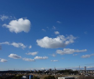 DSC02736