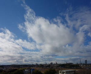 DSC02867