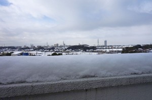 DSC02955