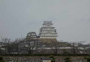 DSC02971
