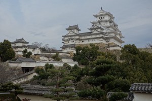 DSC03017