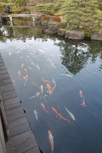 DSC03044