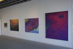 DSC03141