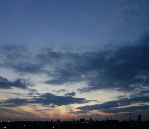 DSC03164