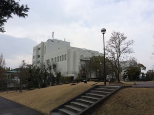IMG_8564