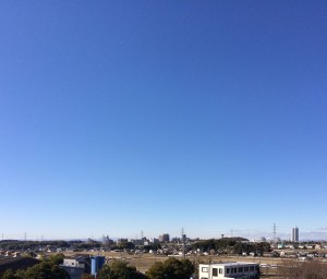 IMG_8687