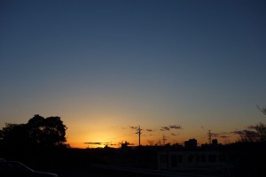 DSC03281