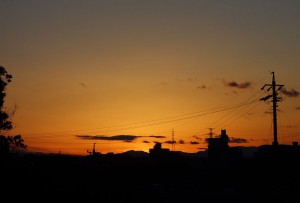 DSC03285