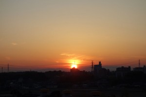DSC03351