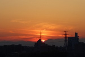 DSC03363