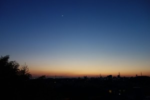 DSC03366