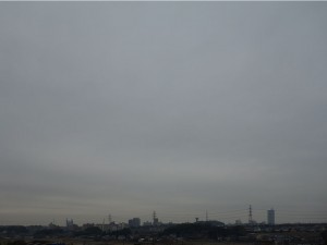 DSC03376 (1)
