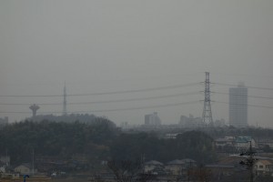 DSC03379 (1)