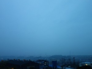 DSC03383 (1)