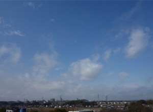 DSC03391