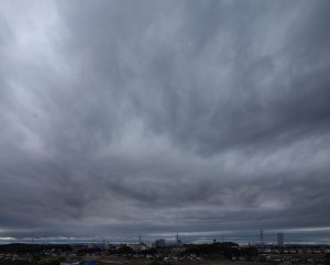 DSC03406