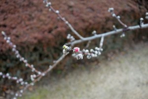 DSC03422