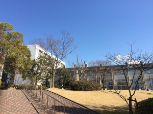 IMG_8765