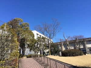 IMG_8791