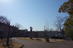 DSC03599