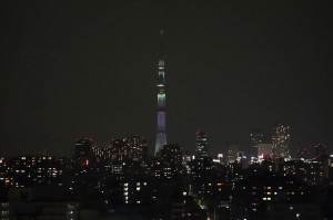 DSC03619
