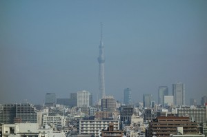DSC03627
