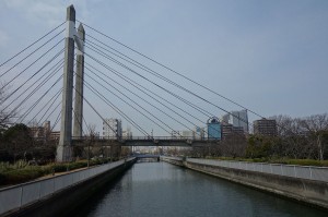 DSC03631