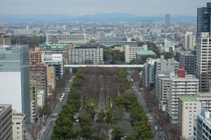 DSC03663
