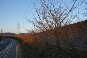 DSC03786