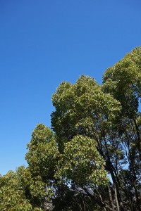 DSC03795