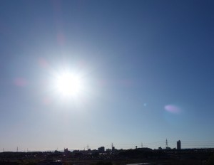 DSC03798