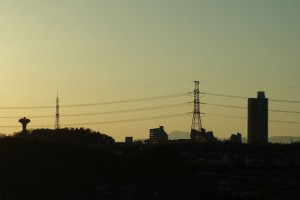 DSC03800 (2)