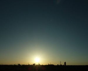 DSC03801