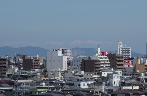 DSC03817