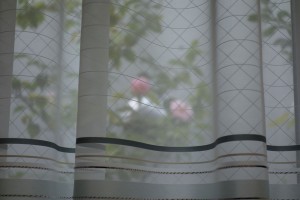 DSC03825