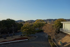 DSC03828 (1)