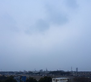 IMG_8854b
