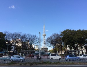 IMG_8913