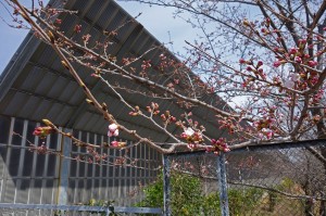 DSC04012