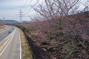 DSC04014
