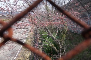 DSC04017