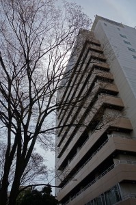DSC04018