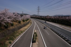DSC04228