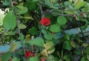DSC04292