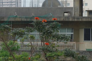 DSC04323