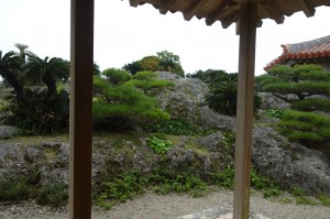 DSC04350
