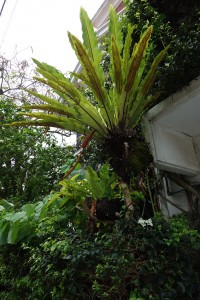 DSC04394