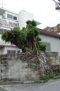 DSC04405