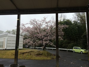 IMG_8997
